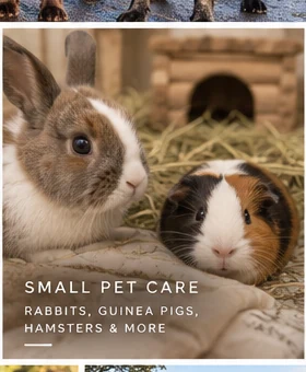 Illustrative AI reference: Rabbits and hamster